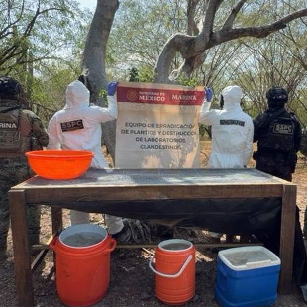 Narcolaboratorio clandestino en Sinaloa